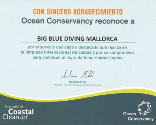 big-blue-diving-1