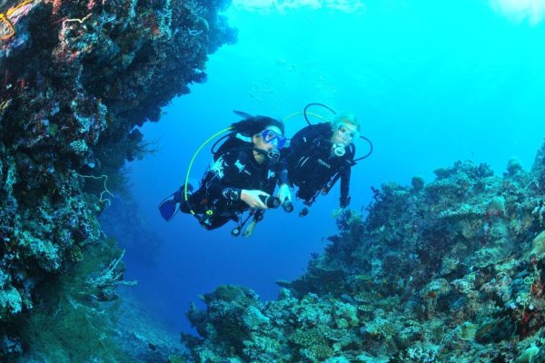 professional diving mallorca